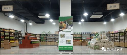 貴州戶戶達 以農產品展示體驗中心為橋，守護家鄉風味，服務會務展覽