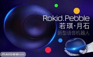 Rokid家庭智能機(jī)器人 AI賦能美好生活的創(chuàng)新先鋒