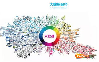 新消費浪潮下家電細分市場的突圍 互聯網信息服務如何重塑行業格局